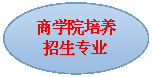 椭圆: 捷克论坛
培养招生专业
